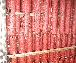 Food Safety